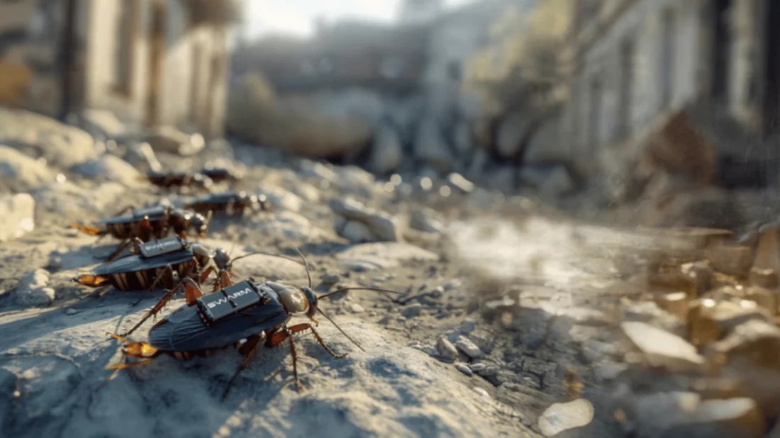 যুদ্ধে গোয়েন্দার কাজ করতে ‘সাইবার তেলাপোকা’ উদ্ভাবন জার্মানির